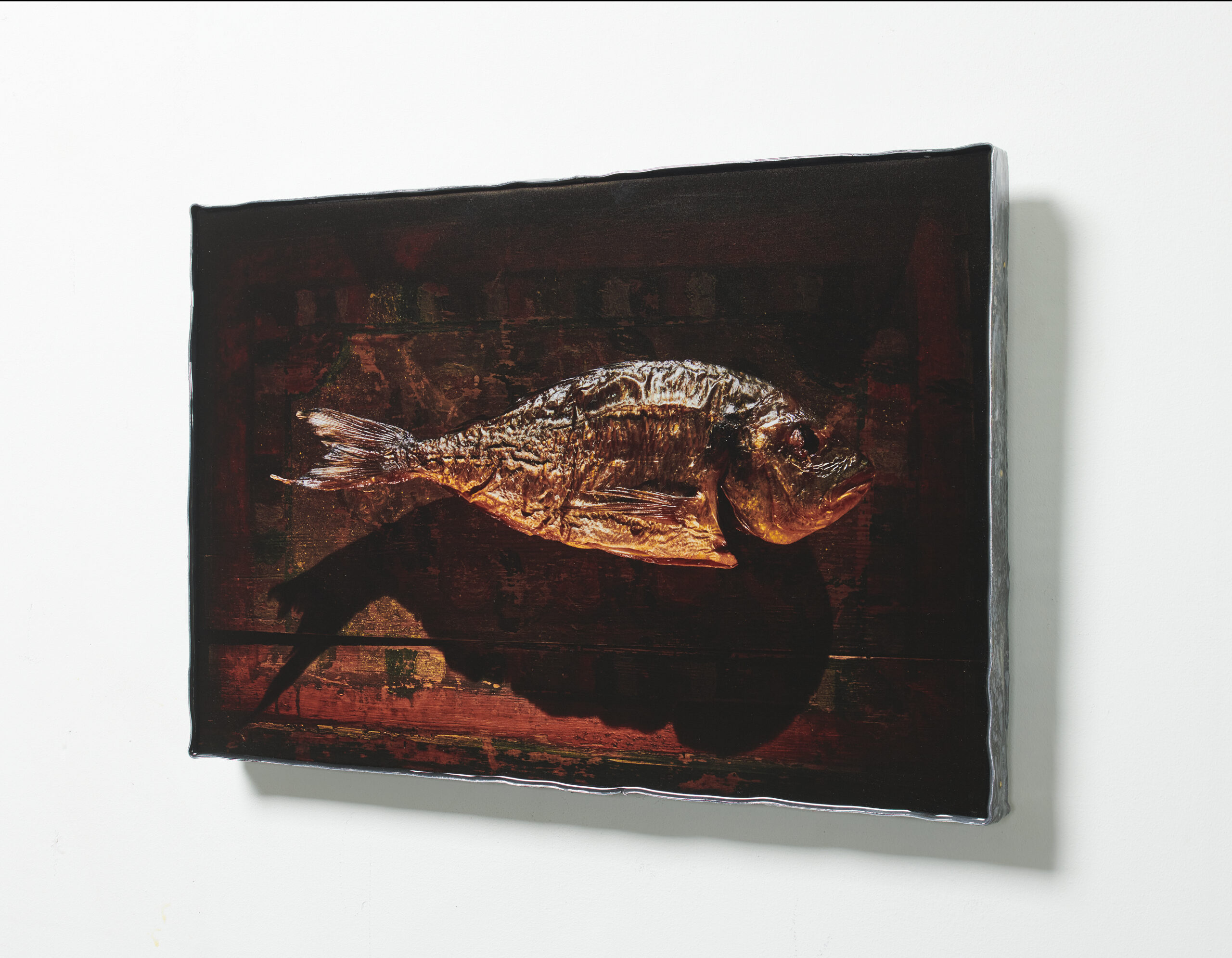 Dorade print gegoten in epoxy op paneel met loden rand