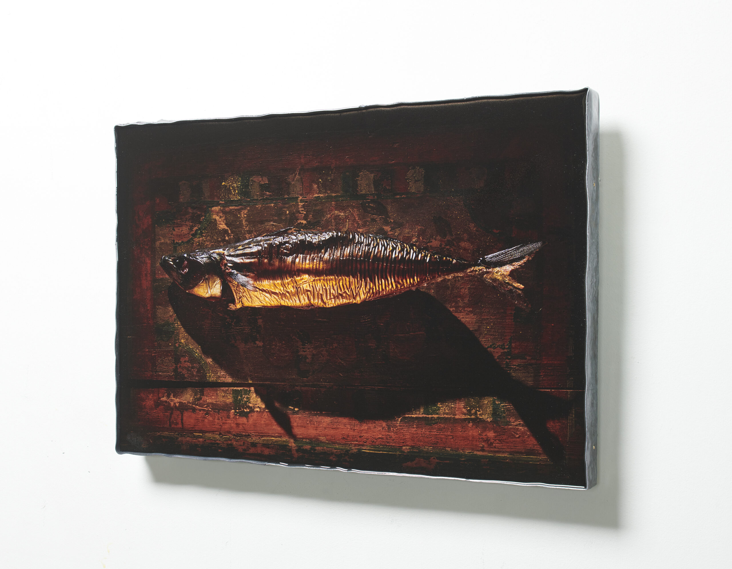 Makreel print gegoten in epoxy op paneel met loden rand