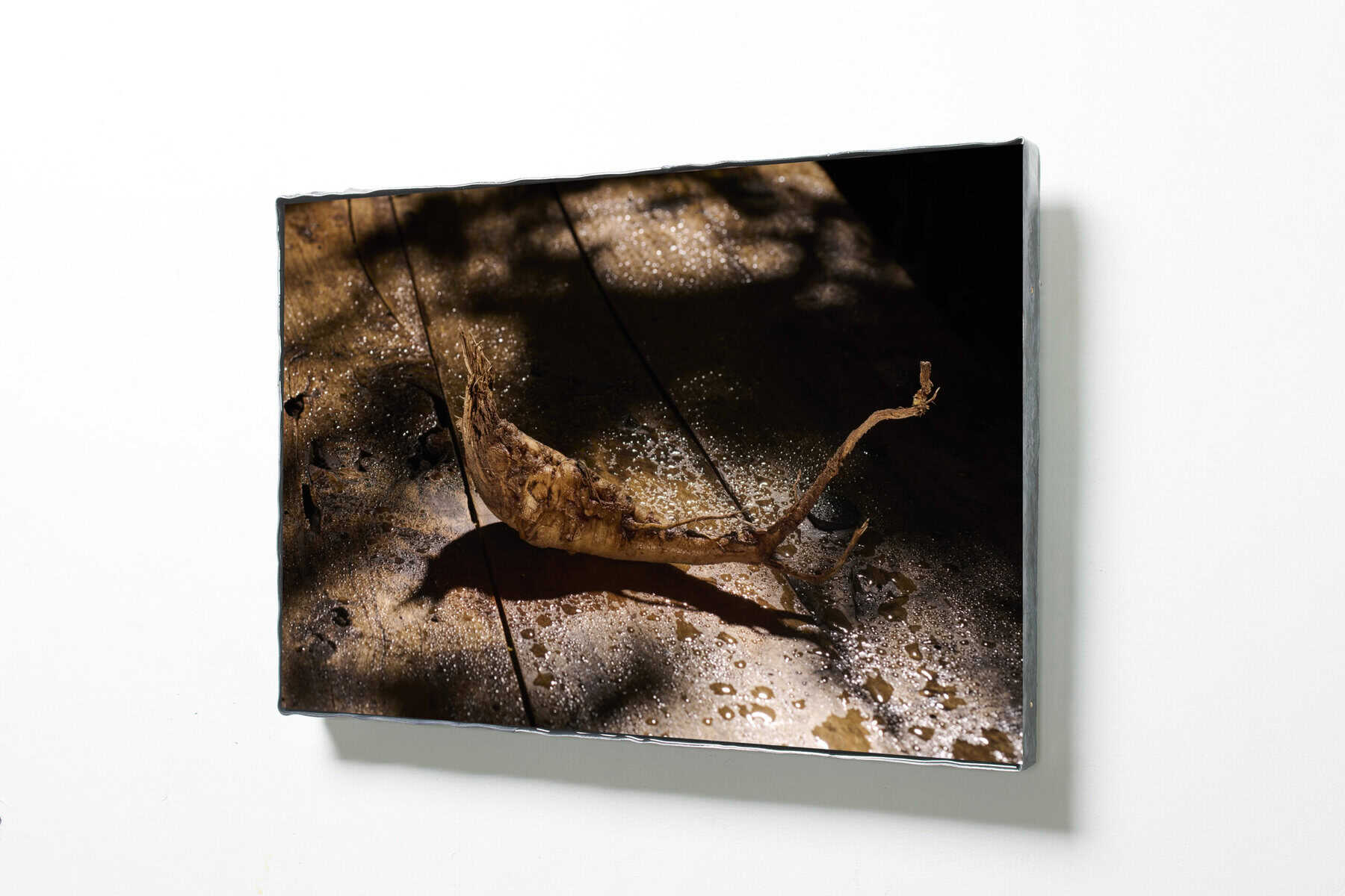 Schaduw van een kurkuma-wortel op houten oppervlak.