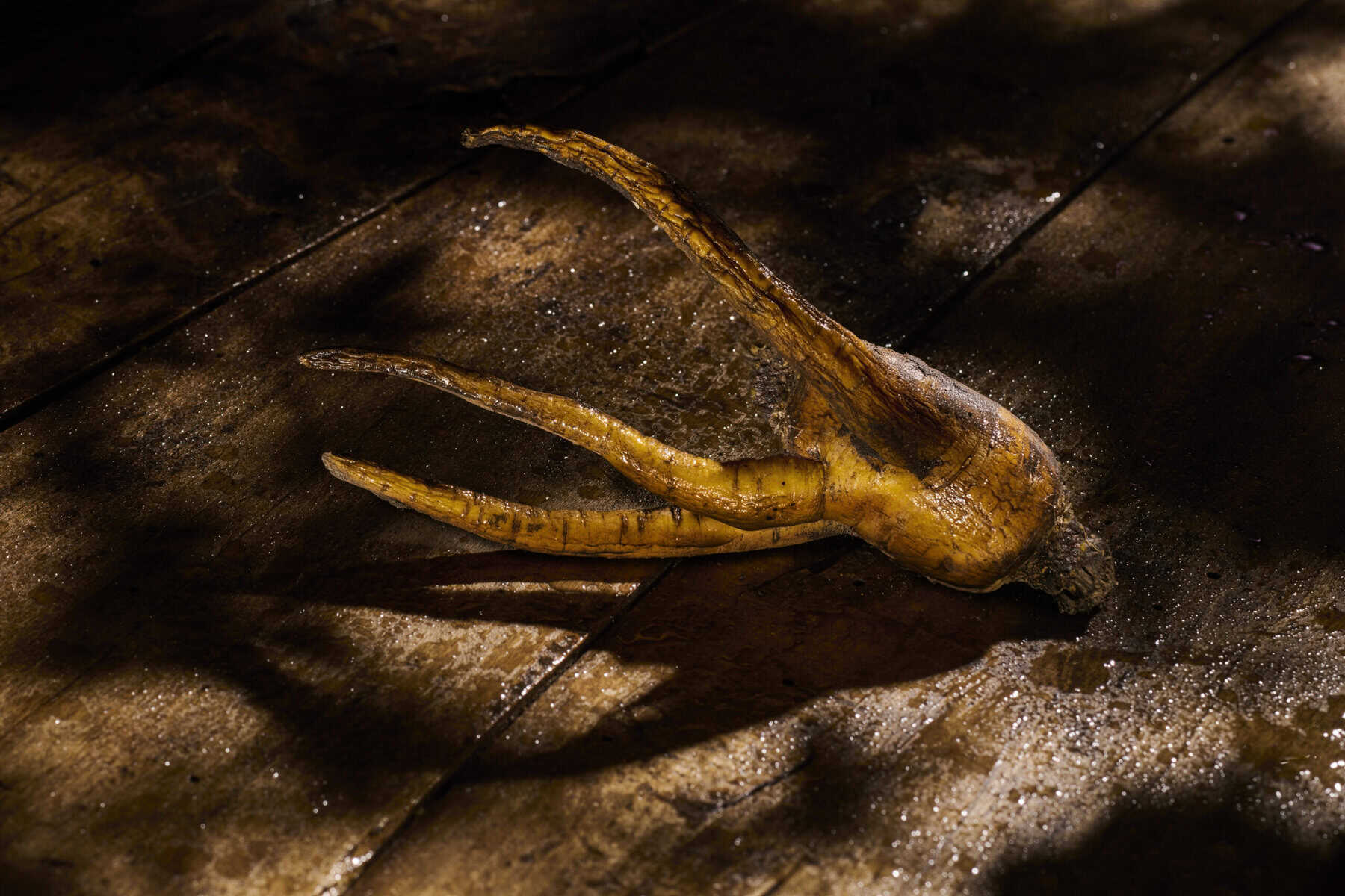 Oude houten vloer met uitgedroogde wortelgroente