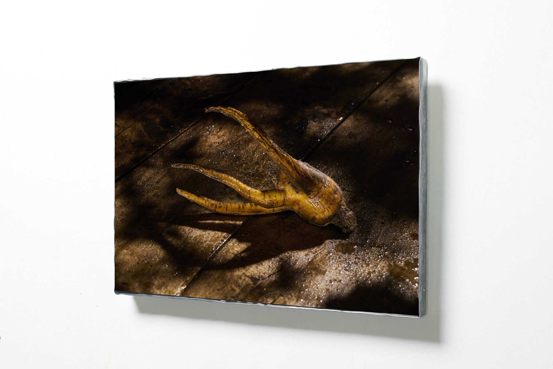 Vreemd gevormde wortel op modderige ondergrond.